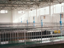 水穩試驗段啟航，助力項目建設